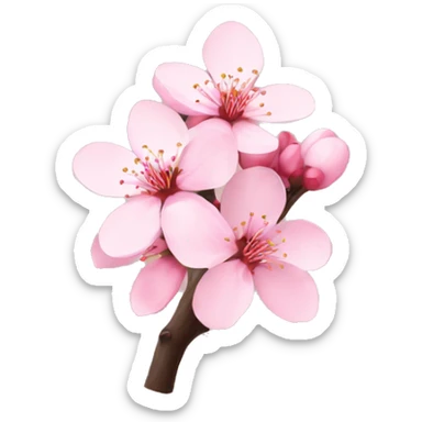 Cherry Blossom in Japan  sticker