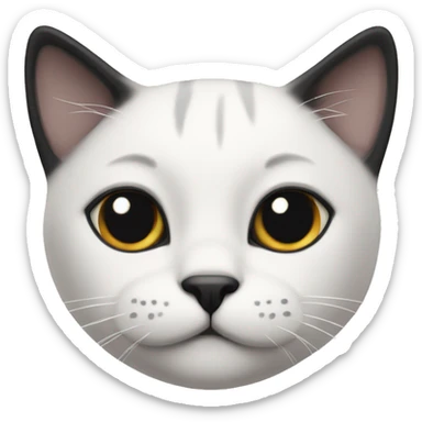 Black and white cat with black spot on nose and black chin sticker