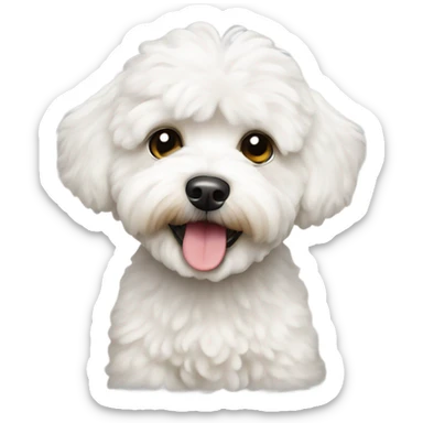 White maltipoo sticker
