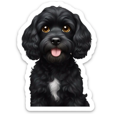 Black cavoodle sticker