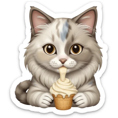 ragdoll cat eating sticker