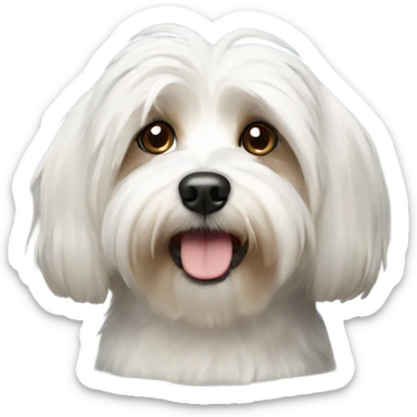 Havanese dog sticker