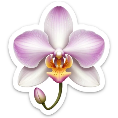 orchid blossom sticker