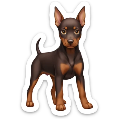 Dobermann puppy natural ear  sticker