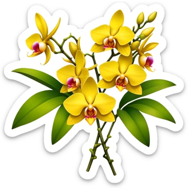 big bouquet yellow Dendrobium Orchid, stem, leaf sticker
