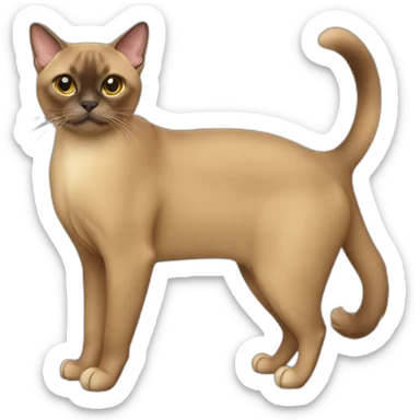 Burmese Cat Full Body sticker