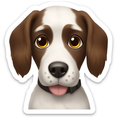 Dog with a name tag that says benson. Big brown nose, white face medium length hair, chocolate brown ears and long eye lashes sticker