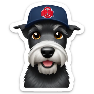 Scottish terrier with Ohio State baseball cap sticker