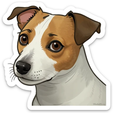 Jack Russell terrier brown spot on left eye/ ear and white the right of the body sticker