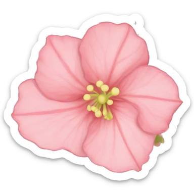 begonia sticker