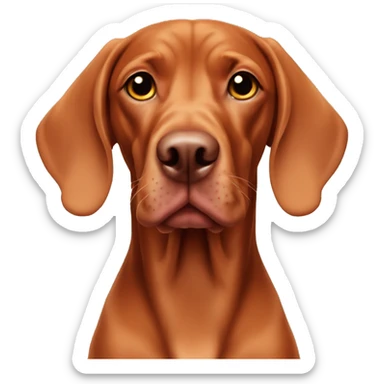 Hungarian vizsla sticker