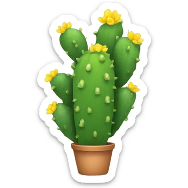 single flat Nopal without pot sticker