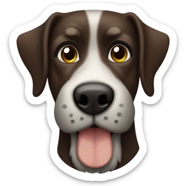 Dark Brown dog with floppy ears, and a green collar and a brown nose and a gray beard sticker