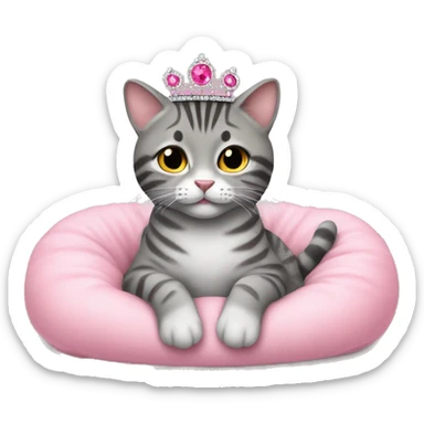 gray tabby sitting on pink pillow wearing pink gem tiara  sticker