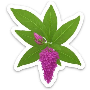 amaranth flower sticker