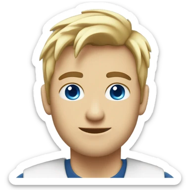 software devoloper working no a laptop. 23 years old, blue eyes, blonde hair, male sticker