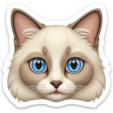 Ragdoll Siamese cat  sticker