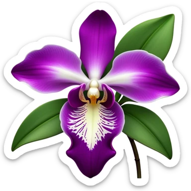 Cinematic Realistic Orchid Emoji, Exotic and elegant, with intricate, velvety petals in deep purple and white, forming a delicate and symmetrical blossom. The slender green stem holds the flower high, while surrounding leaves add lush contrast. Soft glowing outline, capturing the essence of rare beauty and sophistication in a captivating orchid. sticker