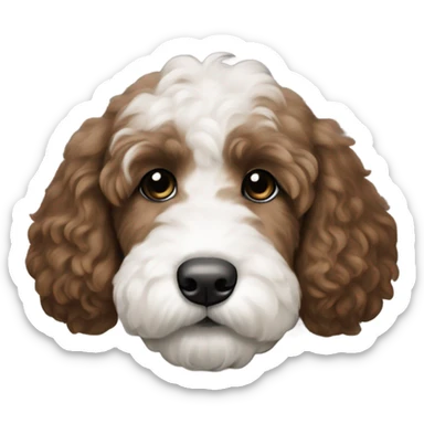 dark brown goldendoodle puppy whit nose and top of head sticker