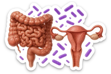 intestino umano anatomico realistico accanto ad un utero umano anatomico realistico, dietro i due organi fluttuano batteri intestinali con questo colore: #971ef1, iperrealistico 4k
isolata su sfondo bianco sticker