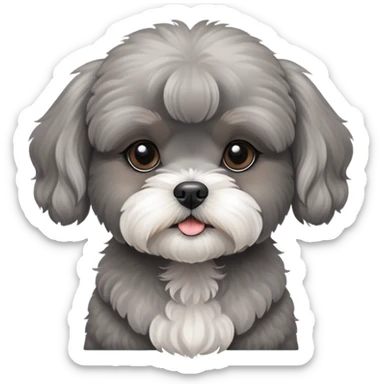 Grey Poodle Shih Tzu Girl Puppy sticker