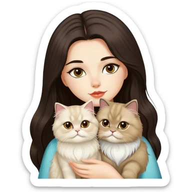 A pretty girl with long dark hair is kissing her light hair persian cat. sticker