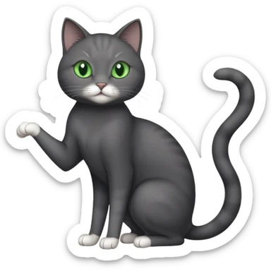 full body gorgeous solid dark grey cat with green eyes, white paws and white whiskers stretching like a cat sticker