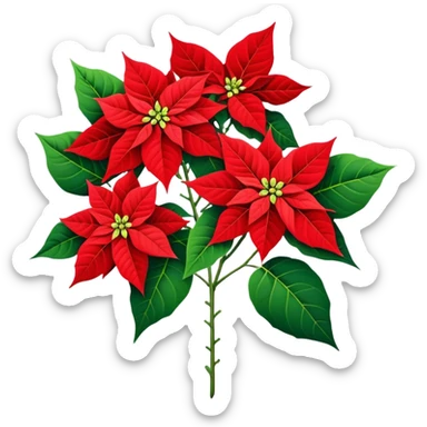 big bouquet Poinsettia, stem, leaf sticker