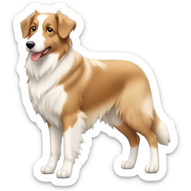 a full body, tan, cream, white, light brown, Australian Shepard sticker