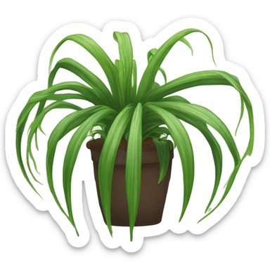 A magical sentient spider-plant who has a dirt ball at his center, and long tendrils￼ sticker