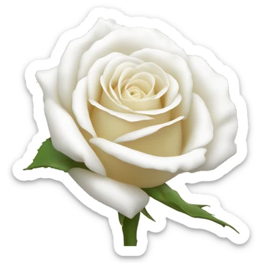 white rose sticker