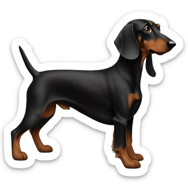 Schwarzer dackel sticker
