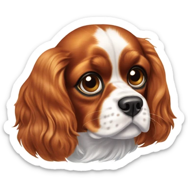 Cavalier King Charles Spaniel. sticker