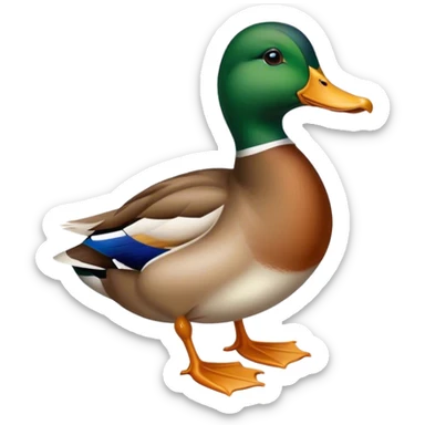 Duck  sticker