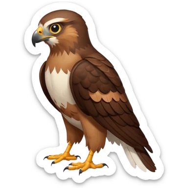 Create a single emoji of a Hawk in full body, shown at a slight side angle in a natural, characteristic pose. Cute and stylized like an emoji, but clearly recognizable.
 sticker
