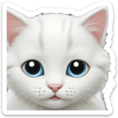 White kitten  sticker