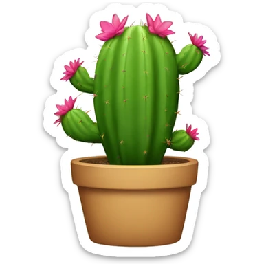 CACTUS sticker