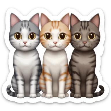 3 different coloured short haired cats including; a dark brown tabby and white cat, and a dark grey and white  sticker