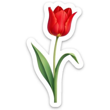 ​Cinematic Realistic Tulip, depicted as a single, exquisitely detailed bloom with vibrant red petals and a delicate stem, softly illuminated by natural light that highlights its graceful beauty and elegant form, sticker