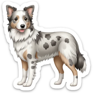 Grey spotted Merle Border Collie dog full body sticker