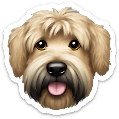 Wheaten terrier with long fluffy hair, black ears and black chin sticker