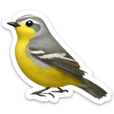 adelaide's warbler sticker