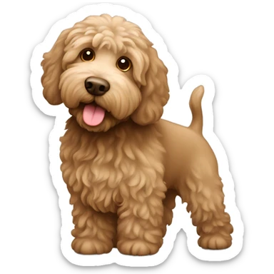 Light brown Labradoodle sticker