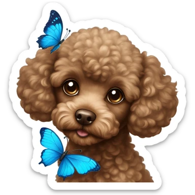 Brown Toy poodle with blue butterfly  sticker