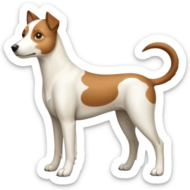 a full body large white parson russell looking dog the size of a kelpie with light brown ears and a light brown patch on one eye and a large snout sticker