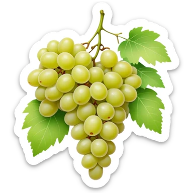 matcha colored grapes with matcha pastel colored leaves sticker