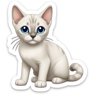 Blue Tabby Point siamese cat cute sticker