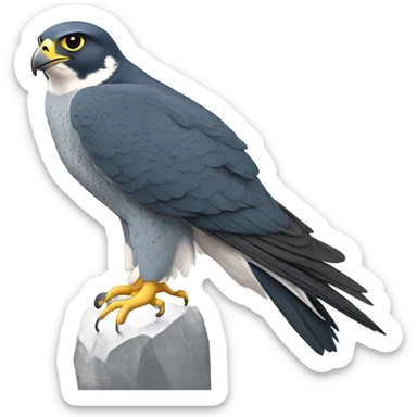 Peregrine falcon ￼ sticker