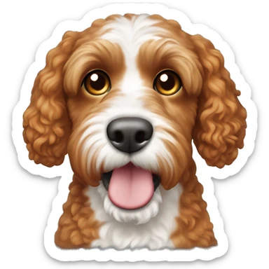 Ginger cockapoo dog with white nose sticker