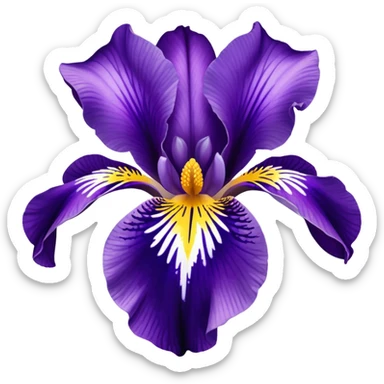 Croatian iris flower sticker
